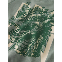NAME IT Sweatshirt Vion Green Milieu Dragon